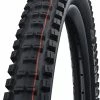 Schwalbe Big Betty Evo Super Ground 24x2,40" Addix Soft E-50 Pneus Pliants -Vélo Èlectrique Soldes Schwalbe Big Betty Evo Super Ground 11654323 a